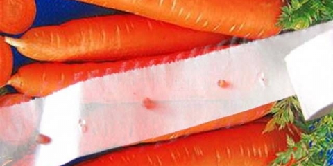 Kako posaditi šargarepu na toalet papir